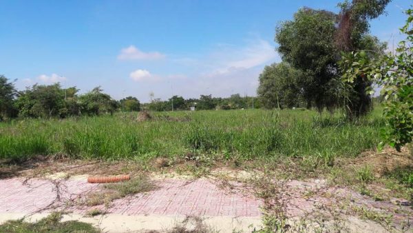 đất thổ vườn là gì