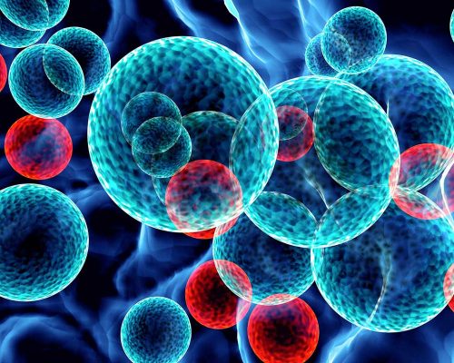Cancer: Nanomedicine discovered to trigger cancer metastasis – Active Featured