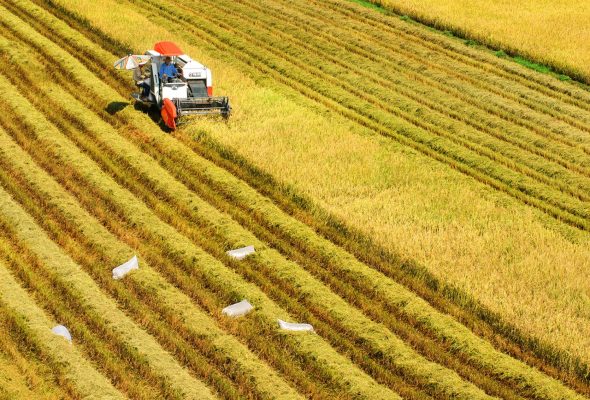 Phê phán những quan điểm sai lầm về chế độ sở hữu đất đai ở Việt