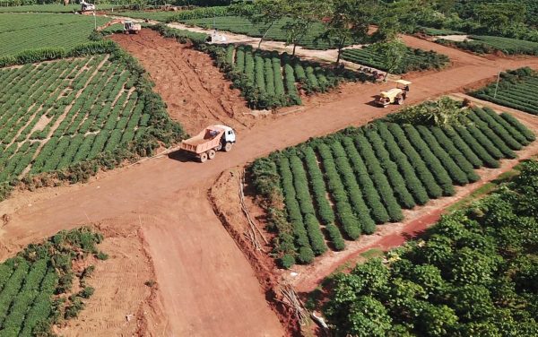 Bảo Lộc thành 'điểm nóng' đất đai, Chủ tịch, nguyên Chủ tịch thành phố bị thanh tra